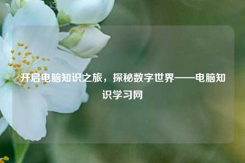 开启电脑知识之旅,探秘数字世界——电脑知识学习网