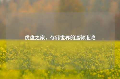 优盘之家,存储世界的温馨港湾