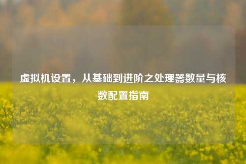 虚拟机设置,从基础到进阶之处理器数量与核数配置指南