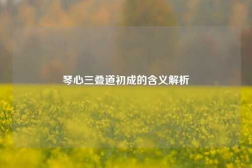 琴心三叠道初成的含义解析