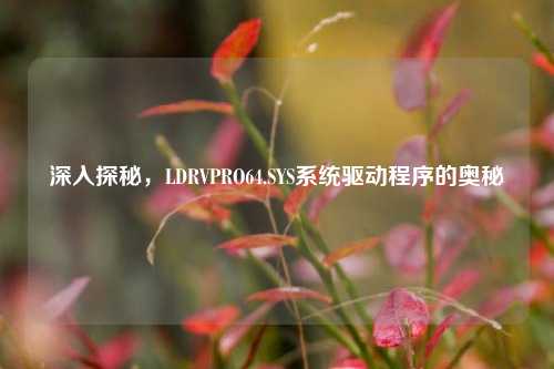 深入探秘,LDRVPRO64.SYS系统驱动程序的奥秘