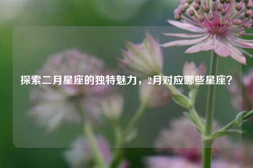 探索二月星座的独特魅力,2月对应哪些星座?