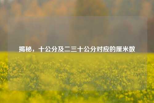 揭秘,十公分及二三十公分对应的厘米数