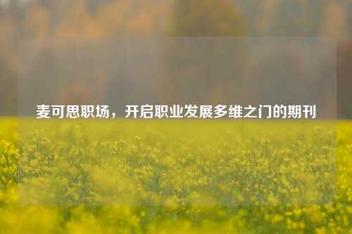 麦可思职场,开启职业发展多维之门的期刊