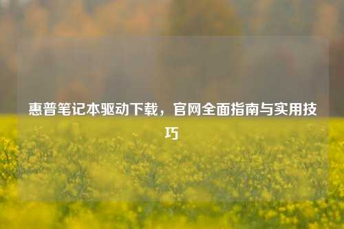 惠普笔记本驱动下载,官网全面指南与实用技巧