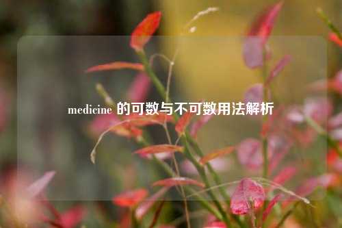 medicine 的可数与不可数用法解析