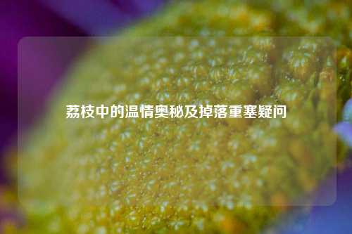 荔枝中的温情奥秘及掉落重塞疑问