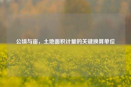 公顷与亩,土地面积计量的关键换算单位