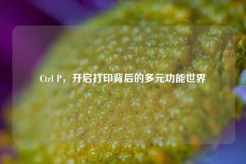 Ctrl P,开启打印背后的多元功能世界