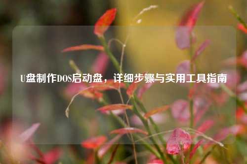 U盘 DOS启动盘,详细步骤与实用工具指南