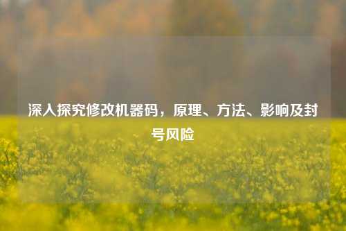 深入探究修改机器码,原理、 、影响及封号风险