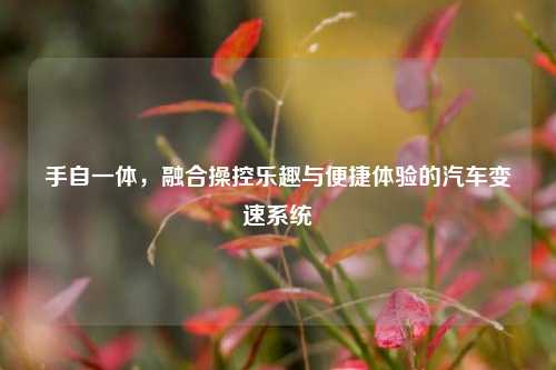 手自一体,融合操控乐趣与便捷体验的汽车变速系统