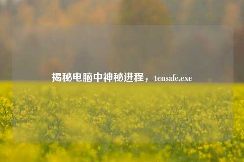 揭秘电脑中神秘进程,tensafe.exe