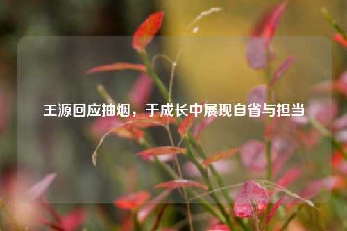 王源回应抽烟,于成长中展现自省与担当