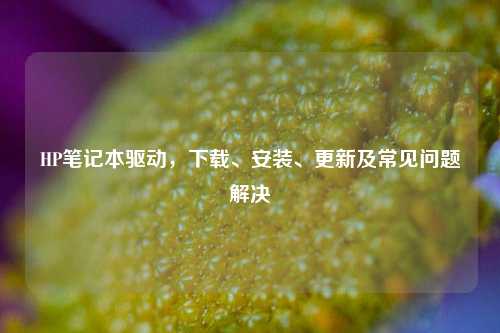 HP笔记本驱动,下载、安装、更新及常见问题解决