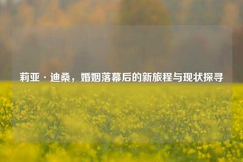 莉亚·迪桑,婚姻落幕后的新旅程与现状探寻