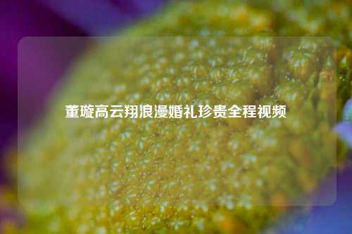 董璇高云翔浪漫婚礼珍贵全程视频