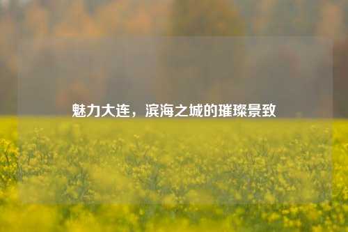 魅力大连,滨海之城的璀璨景致