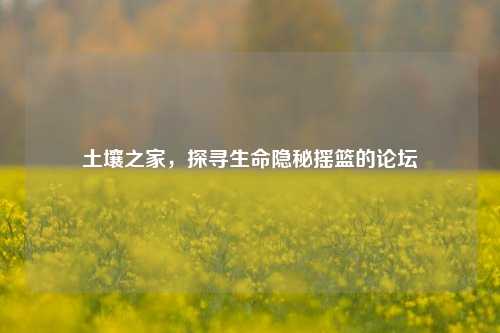 土壤之家,探寻生命隐秘摇篮的论坛