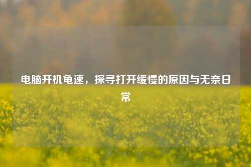 电脑开机龟速,探寻打开缓慢的原因与无奈日常