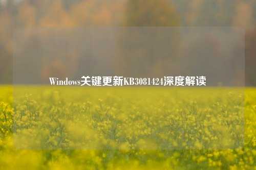 Windows关键更新KB3081424深度解读
