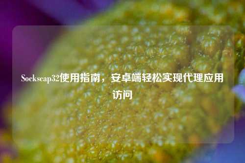 Sockscap32使用指南,安卓端轻松实现 应用访问