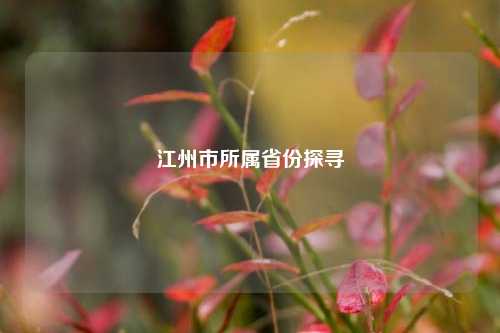 江州市所属省份探寻