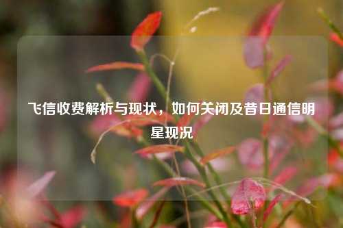飞信收费解析与现状,如何关闭及昔日通信明星现况
