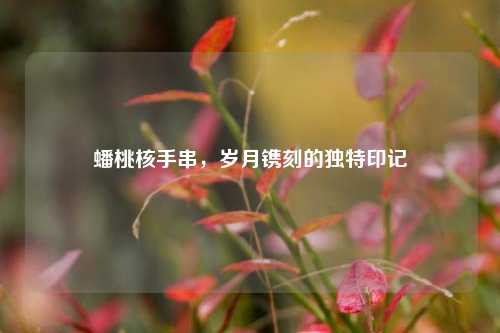 蟠桃核手串,岁月镌刻的独特印记
