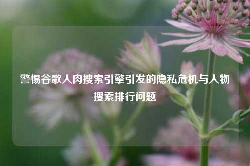 警惕谷歌人肉搜索引擎引发的隐私危机与人物搜索排行问题