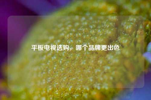 平板电视选购,哪个品牌更出色