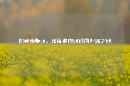 探寻泰姬陵,印度璀璨明珠的归属之谜
