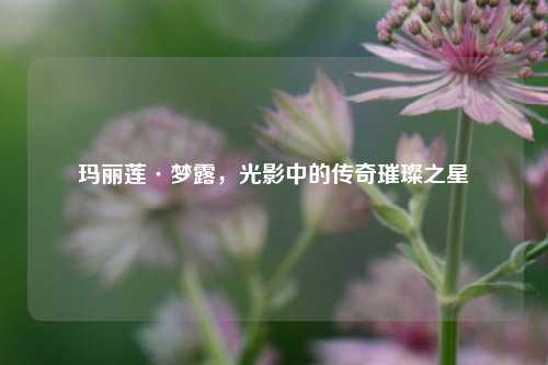玛丽莲·梦露,光影中的传奇璀璨之星