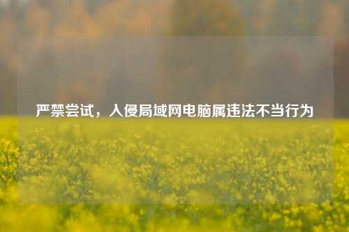 严禁尝试,入侵局域网电脑属违法不当行为