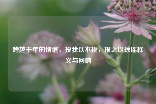 跨越千年的情谊,投我以木桃,报之以琼瑶释义与回响