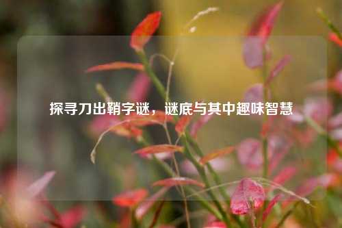 探寻刀出鞘字谜,谜底与其中趣味智慧