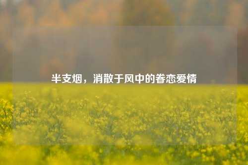半支烟,消散于风中的眷恋爱情