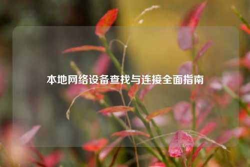 本地 设备查找与连接全面指南