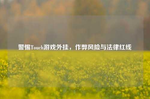 警惕Touch游戏外挂，作弊风险与法律红线