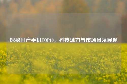 探秘国产手机TOP10,科技魅力与市场风采展现