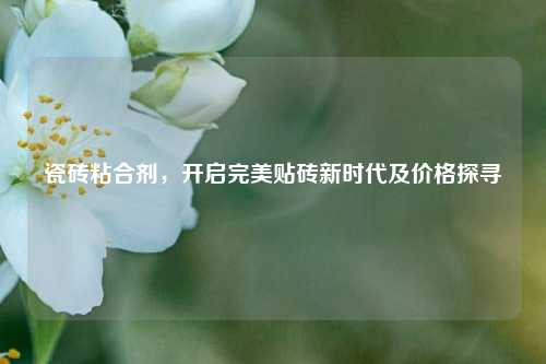 瓷砖粘合剂,开启完美贴砖新时代及价格探寻