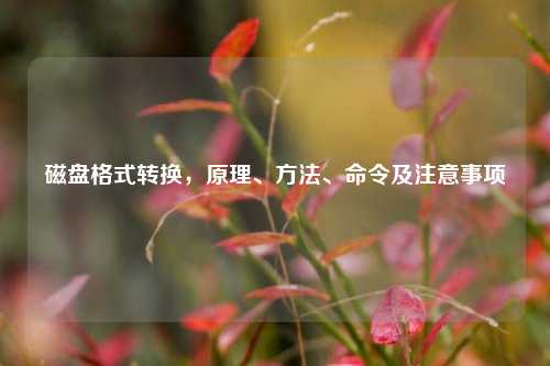 磁盘格式转换,原理、 、命令及注意事项