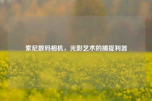 索尼数码相机,光影艺术的捕捉利器