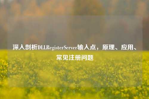 深入剖析DLLRegisterServer输入点,原理、应用、常见注册问题