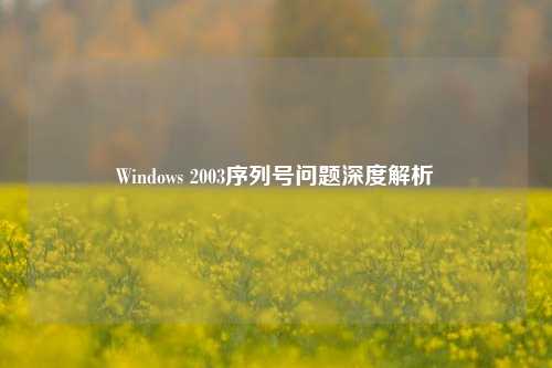 Windows 2003序列号问题深度解析