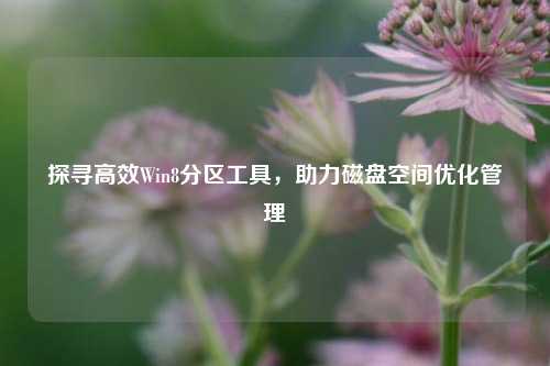 探寻高效Win8分区工具,助力磁盘空间优化管理