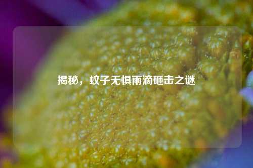揭秘,蚊子无惧雨滴砸击之谜