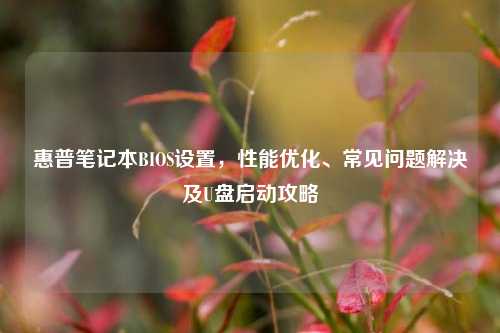 惠普笔记本BIOS设置，性能优化、常见问题解决及U盘启动攻略