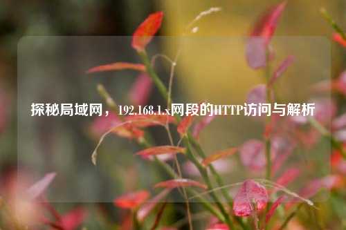探秘局域网，192.168.1.x网段的HTTP访问与解析