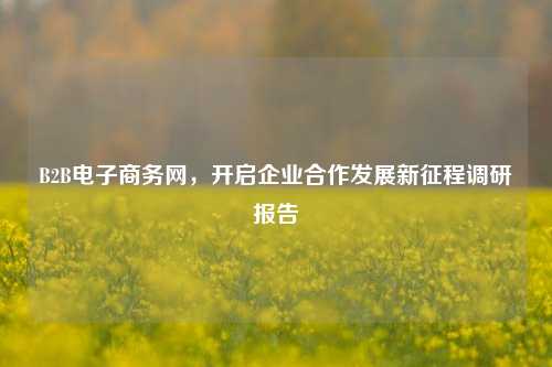B2B电子商务网，开启企业合作发展新征程调研报告
